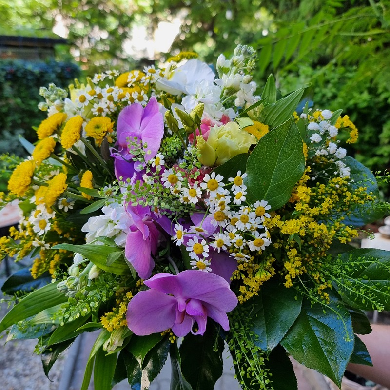 Letná kytica s ružovými orchideami, margarétkami a zlatobyľou